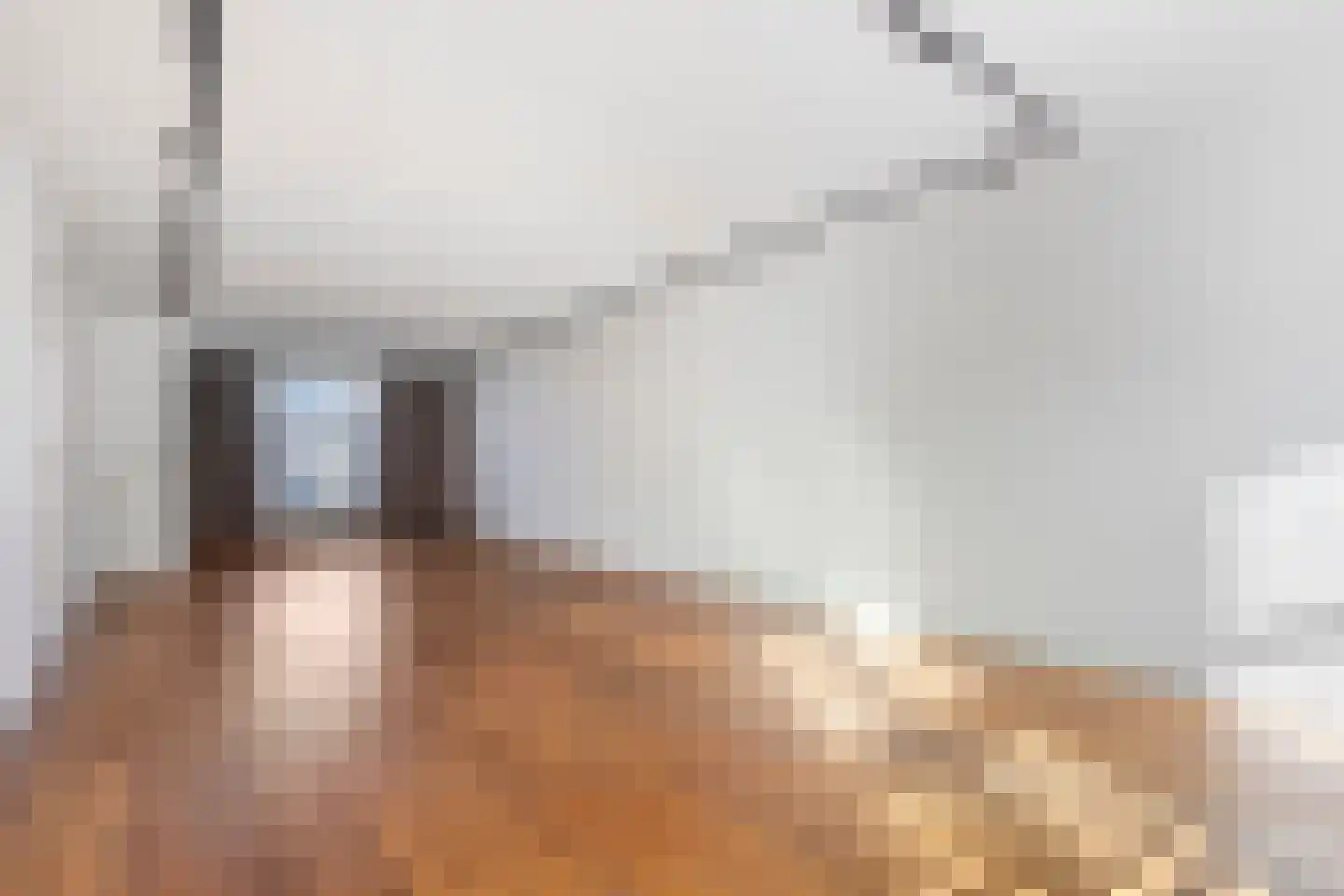 Nieuwstad 53 b Zutphen thumbnail 6
