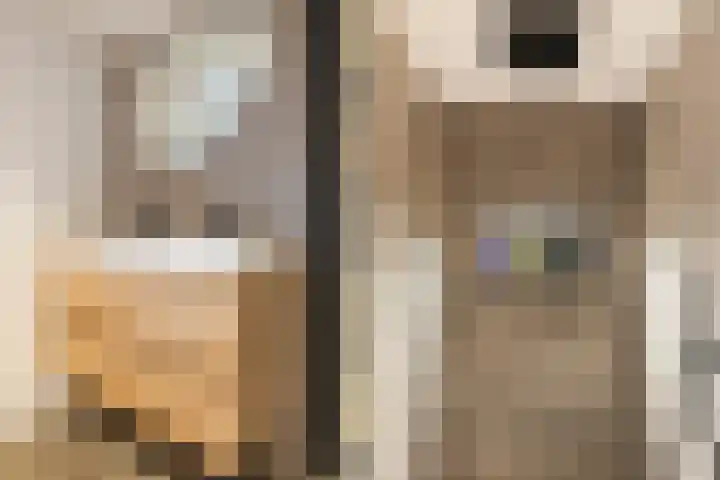 Nieuwstad 60 Burgum thumbnail 17