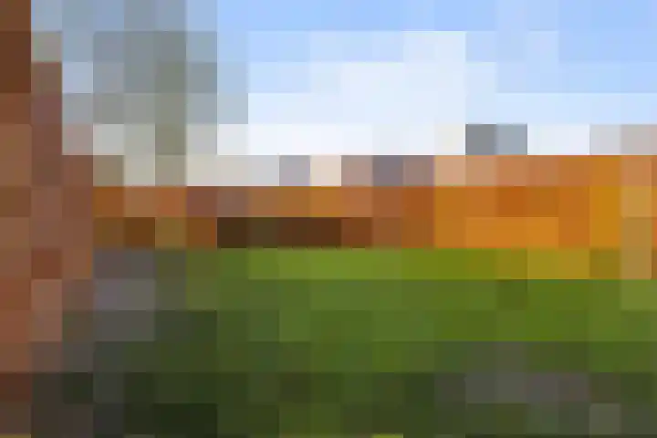 Nieuwstad 60 Burgum thumbnail 31