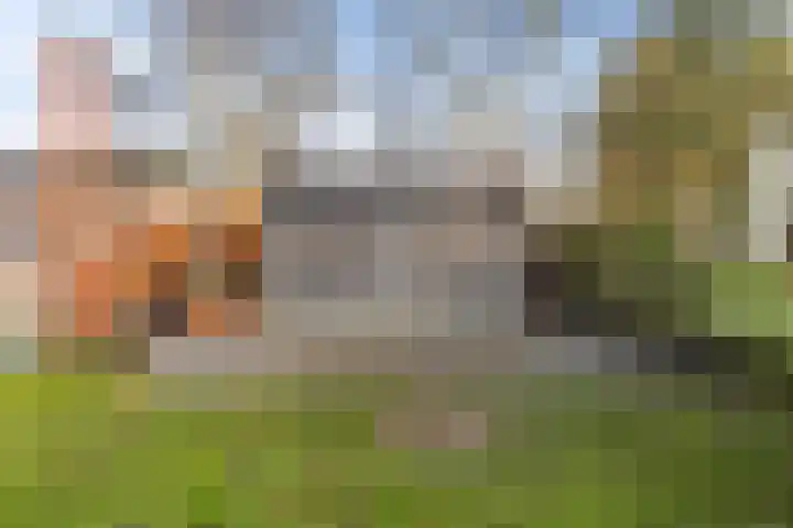 Nieuwstad 60 Burgum thumbnail 32