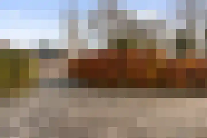 Nieuwstad 60 Burgum thumbnail 34