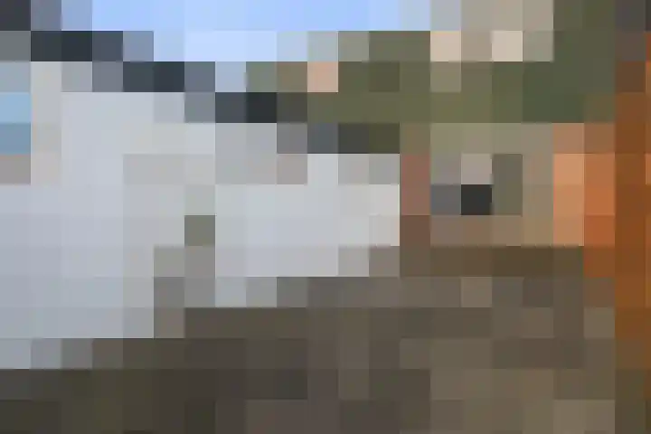 Nieuwstad 60 Burgum thumbnail 37