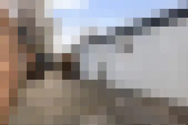 Nieuwstad 60 Burgum thumbnail 38