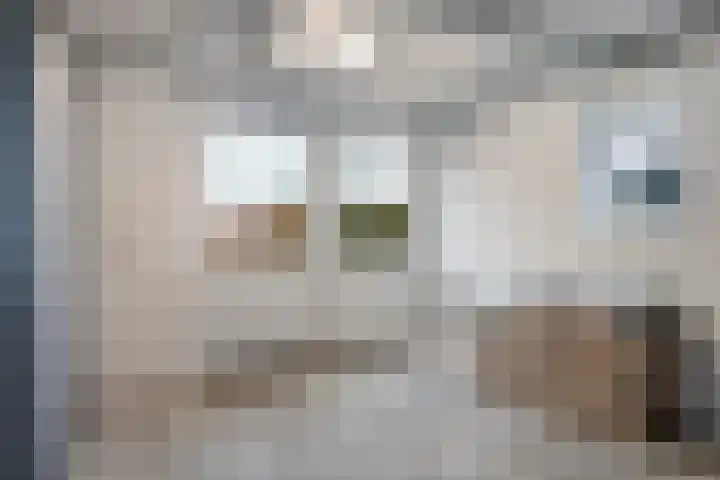 Nieuwstad 60 Burgum thumbnail 40