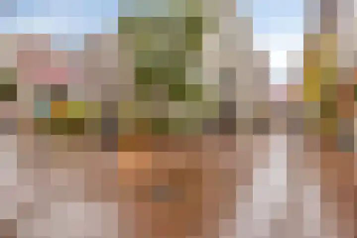 Nieuwstad 81 Arnhem thumbnail 18