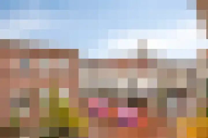 Nieuwstad 81 Arnhem thumbnail 21