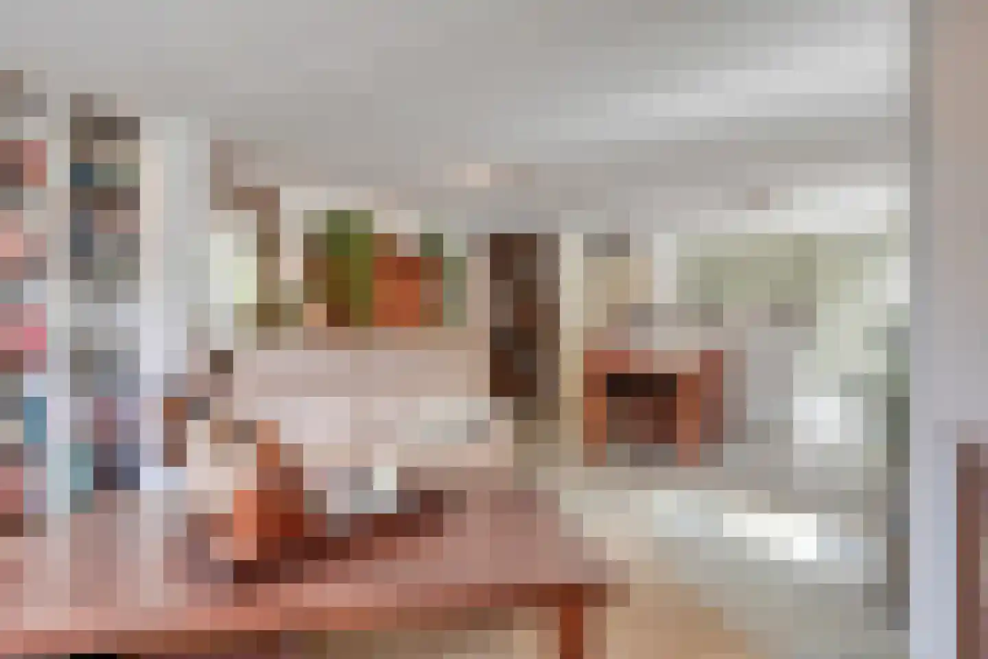 Nieuwstad 9 Steenbergen thumbnail 11