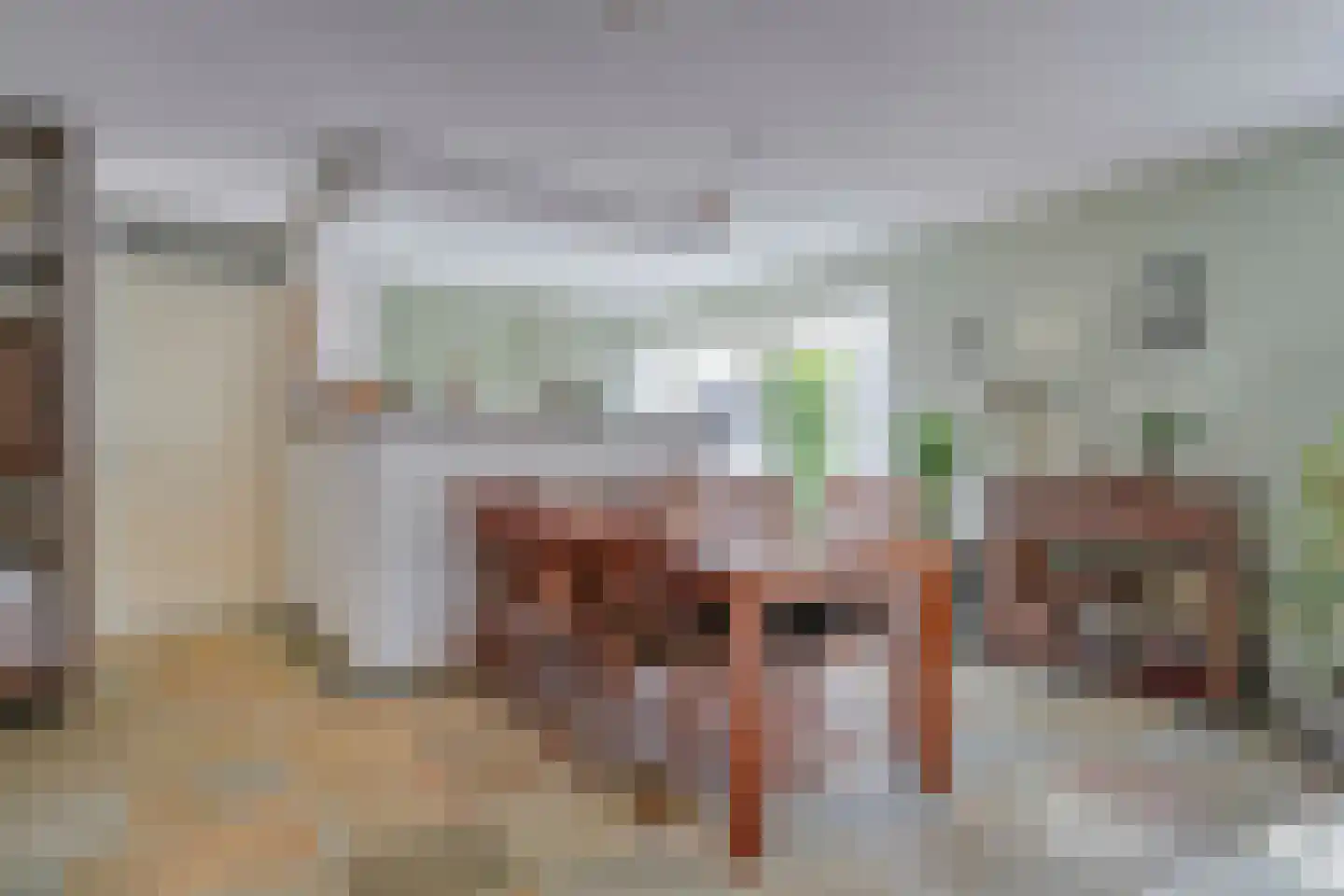 Nieuwstad 9 Steenbergen thumbnail 12