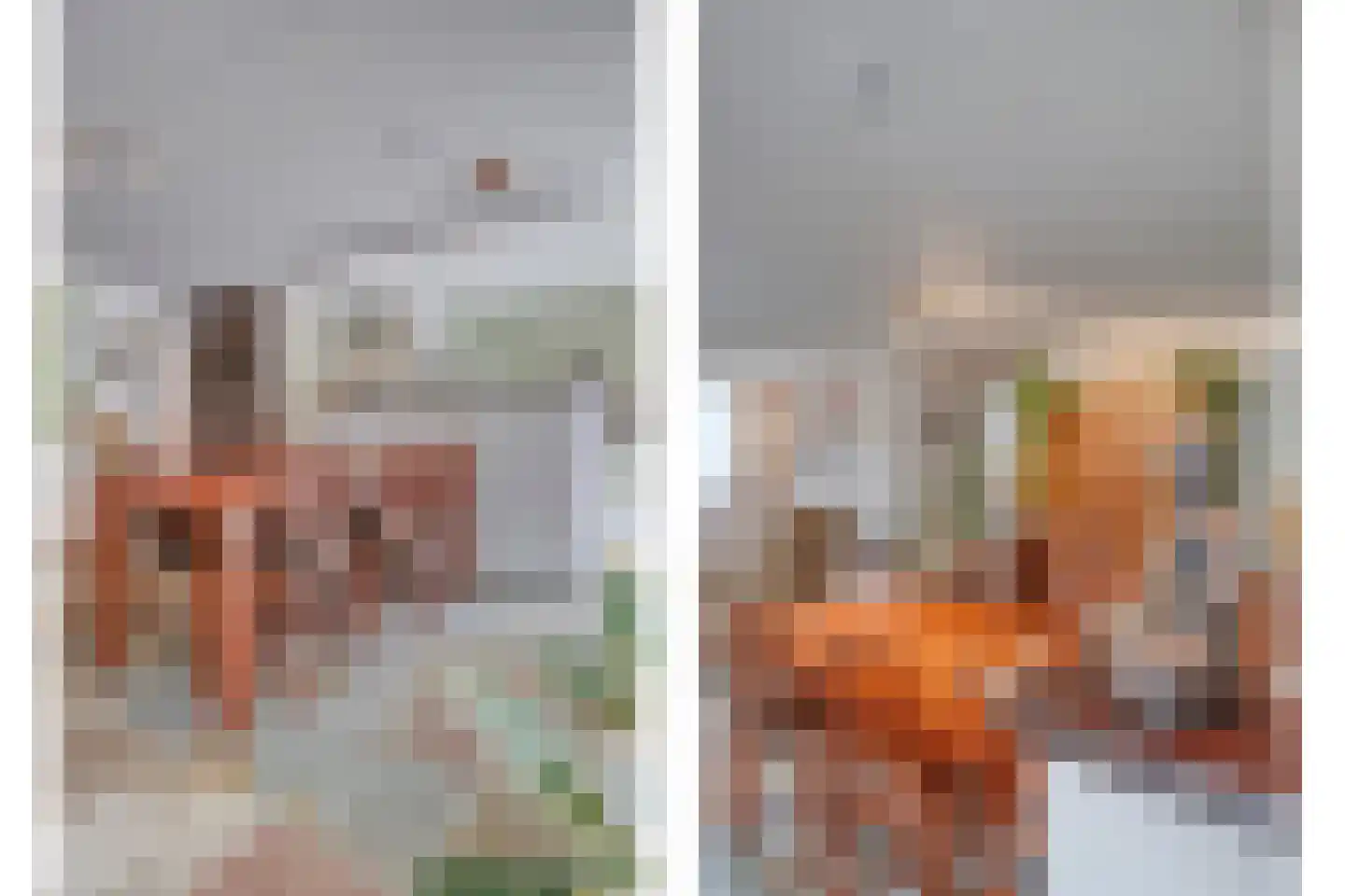 Nieuwstad 9 Steenbergen thumbnail 13