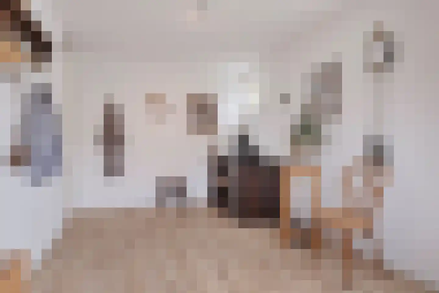 Nieuwstad 9 Steenbergen thumbnail 23