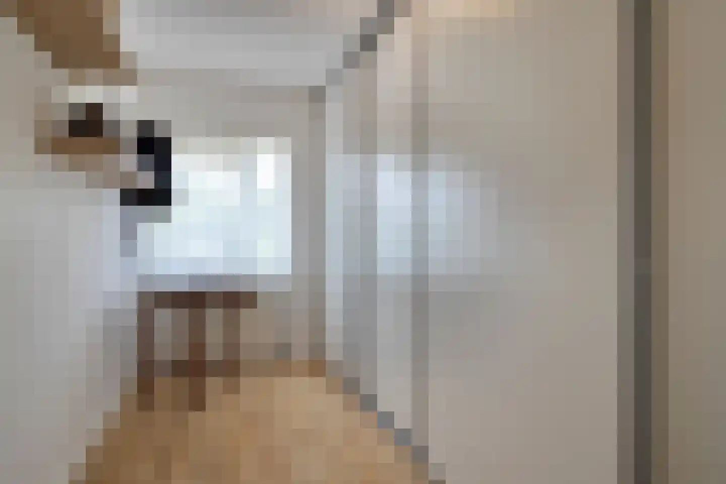 Nieuwstad 9 Steenbergen thumbnail 24