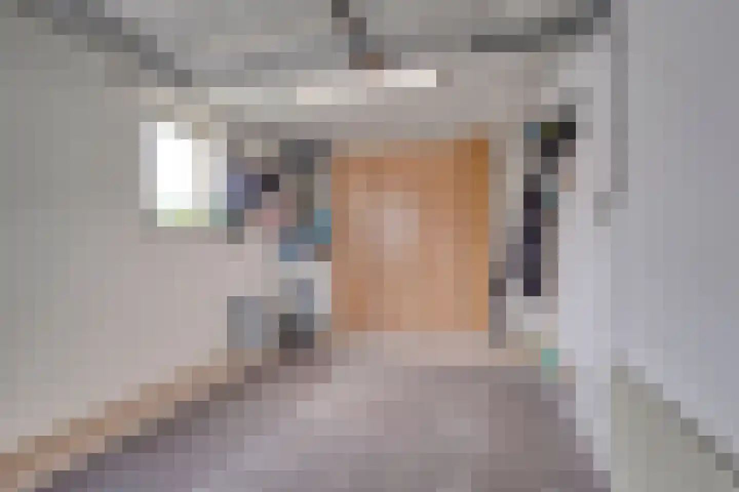Nieuwstad 9 Steenbergen thumbnail 36