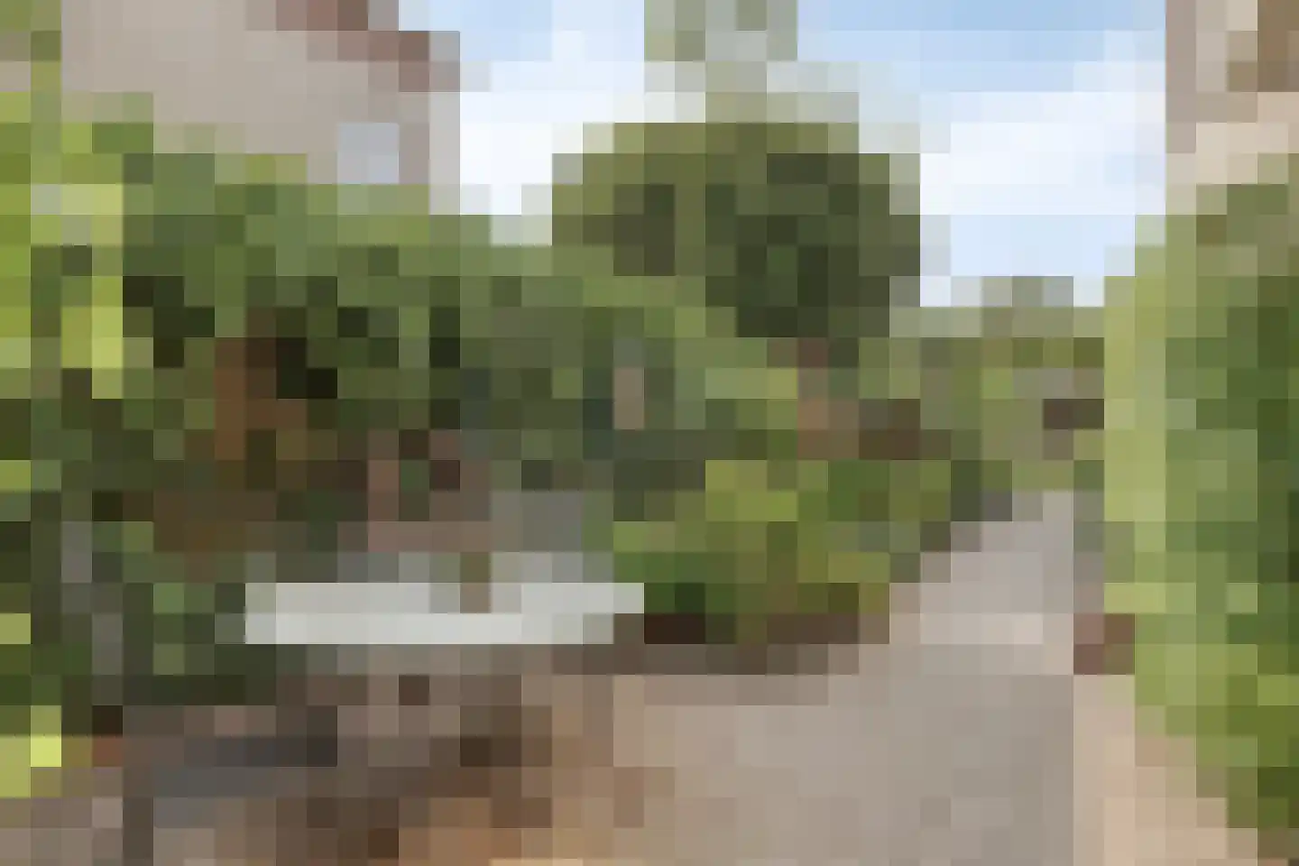 Nieuwstad 9 Steenbergen thumbnail 37