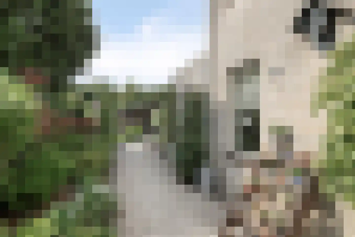 Nieuwstad 9 Steenbergen thumbnail 38