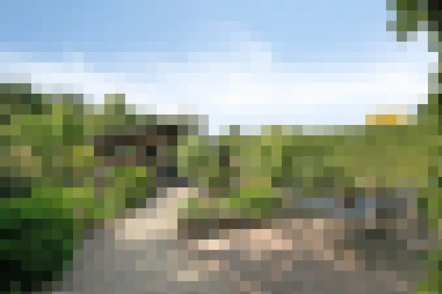Nieuwstad 9 Steenbergen thumbnail 39