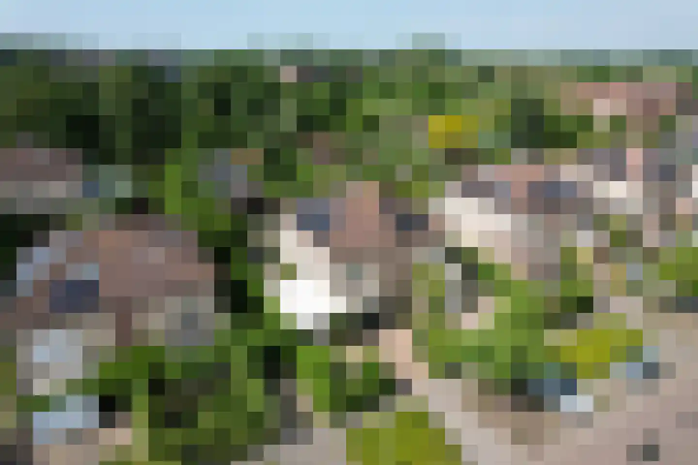 Nieuwstad 9 Steenbergen thumbnail 4