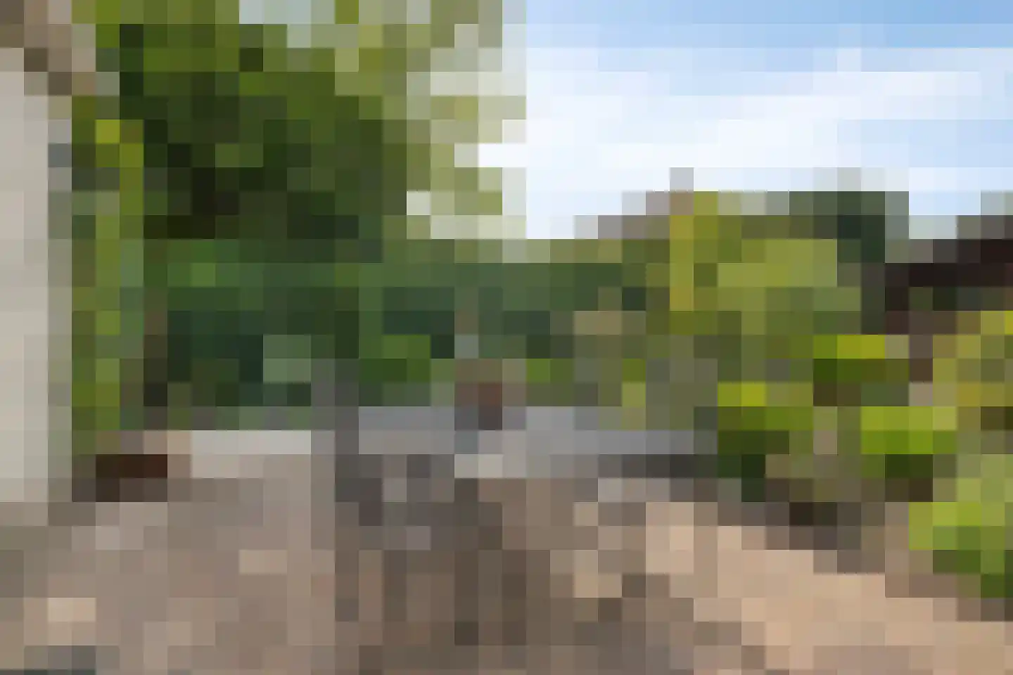 Nieuwstad 9 Steenbergen thumbnail 40