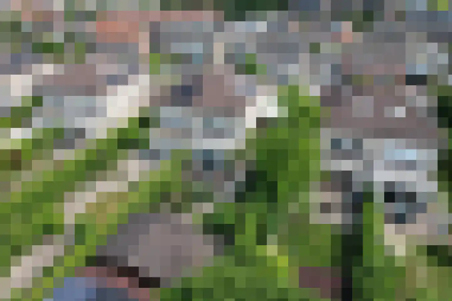 Nieuwstad 9 Steenbergen thumbnail 49