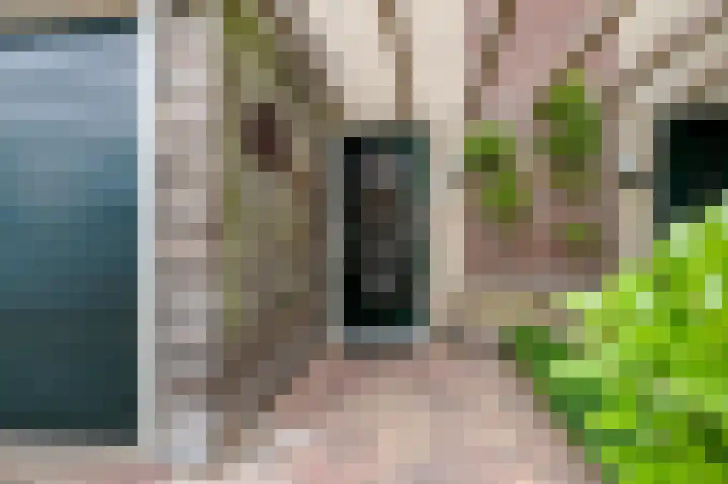 Nieuwstad 9 Steenbergen thumbnail 5