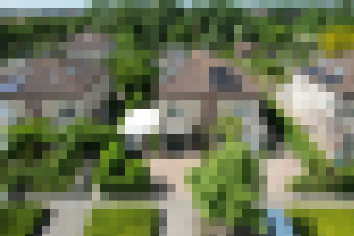 Nieuwstad 9 Steenbergen thumbnail 50
