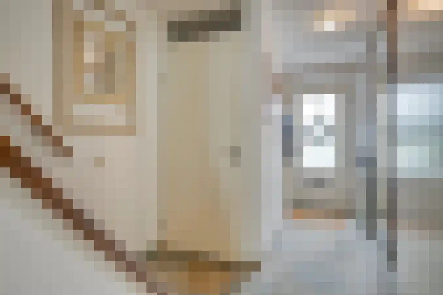 Nieuwstad 9 Steenbergen thumbnail 6