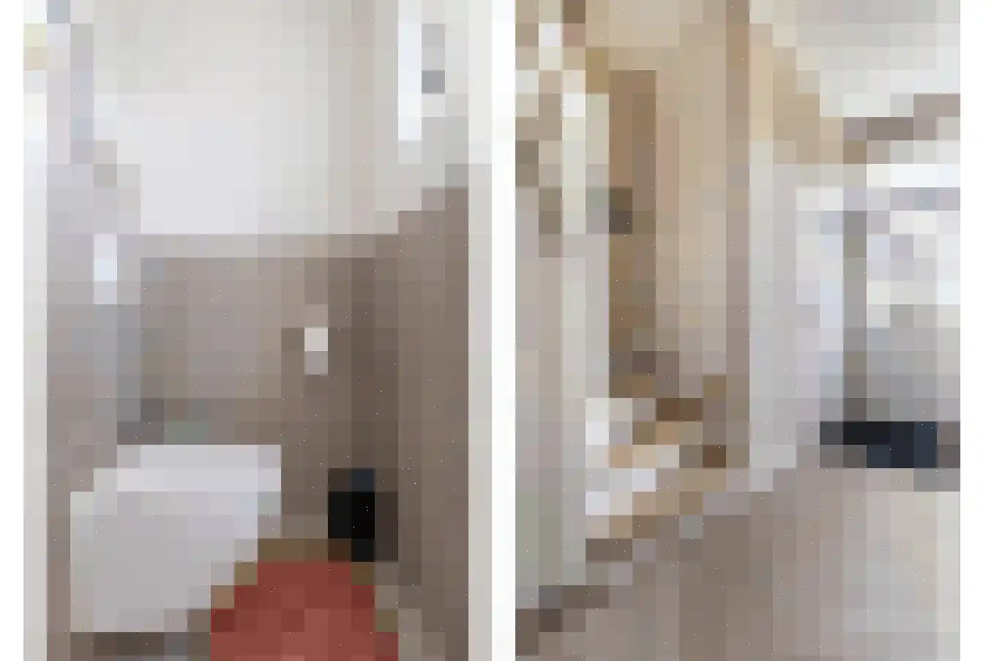 Nieuwstadsweg 14 Elburg thumbnail 10