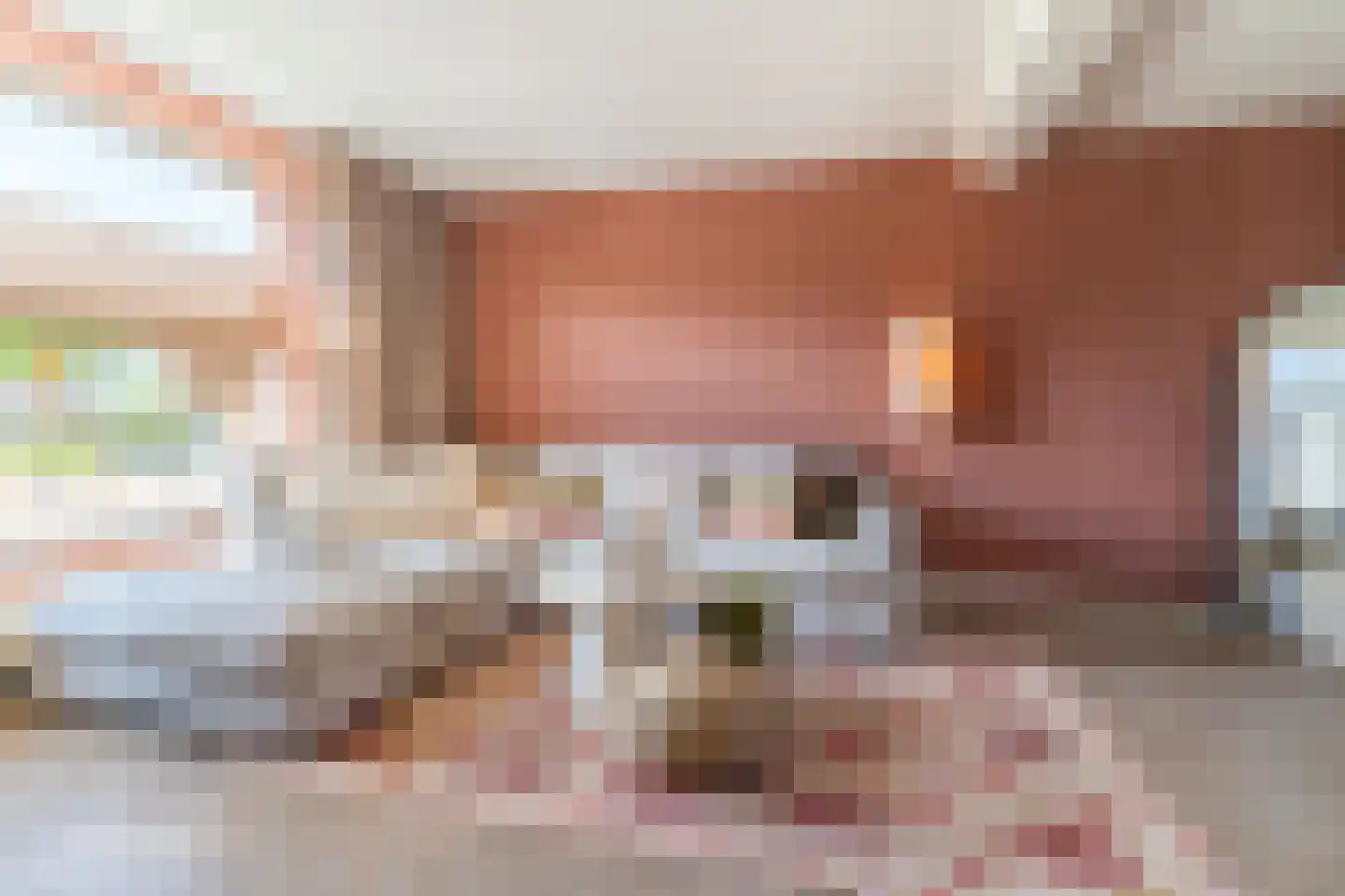 Nieuwstadsweg 14 Elburg thumbnail 11