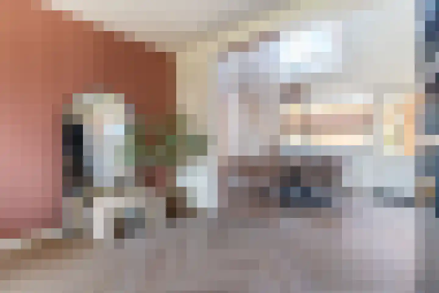 Nieuwstadsweg 14 Elburg thumbnail 17