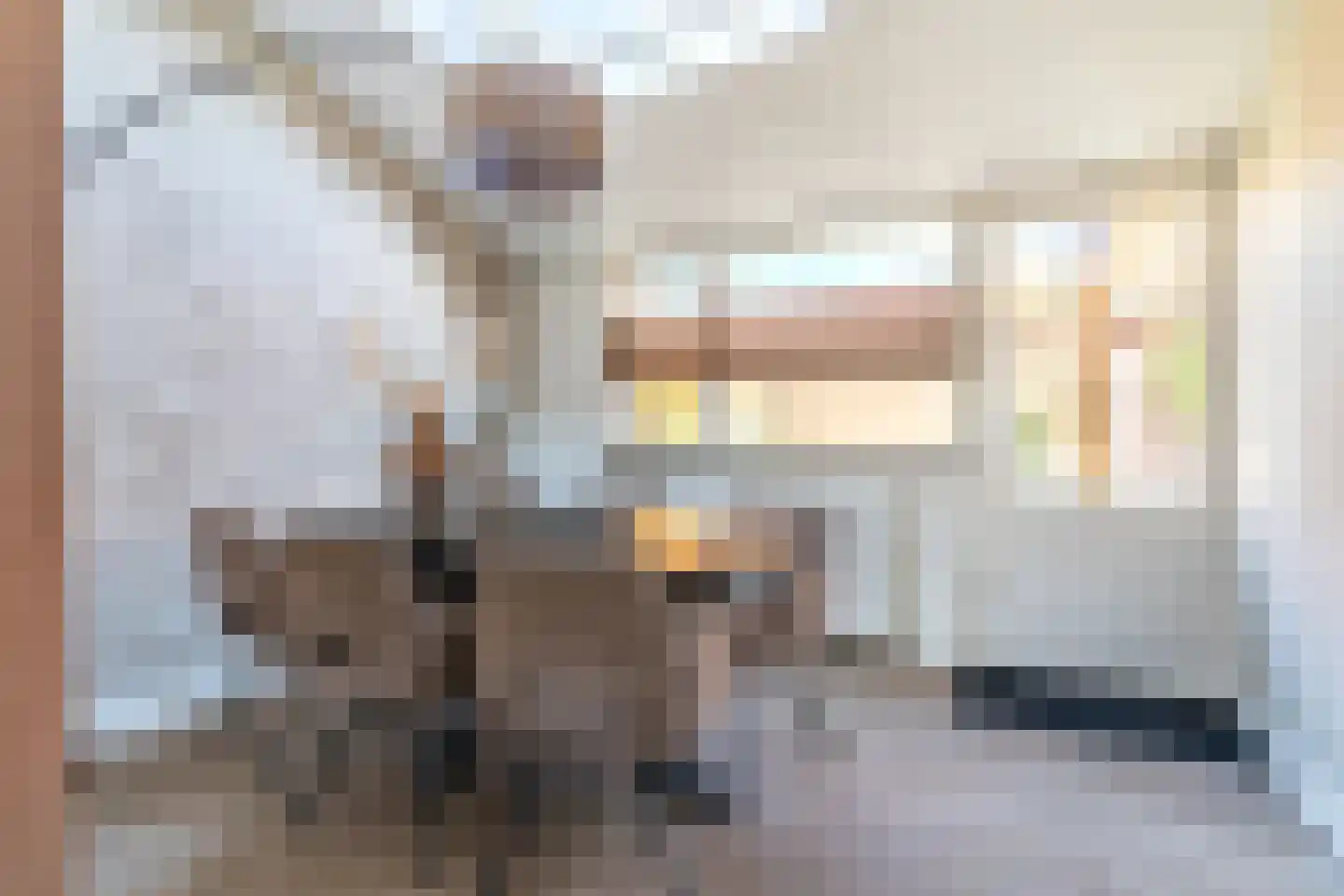 Nieuwstadsweg 14 Elburg thumbnail 19