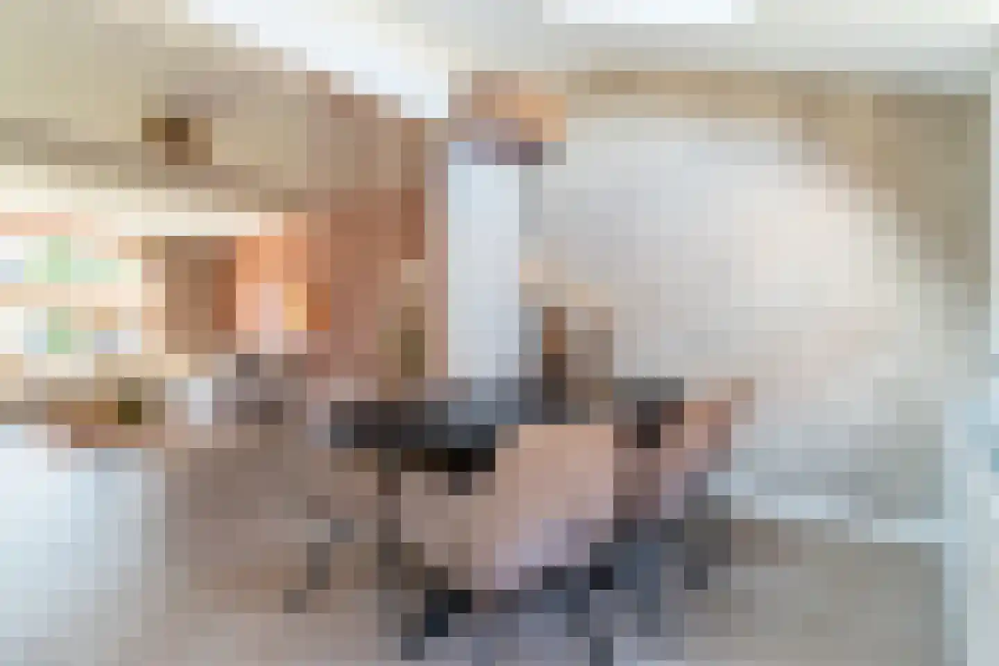 Nieuwstadsweg 14 Elburg thumbnail 20