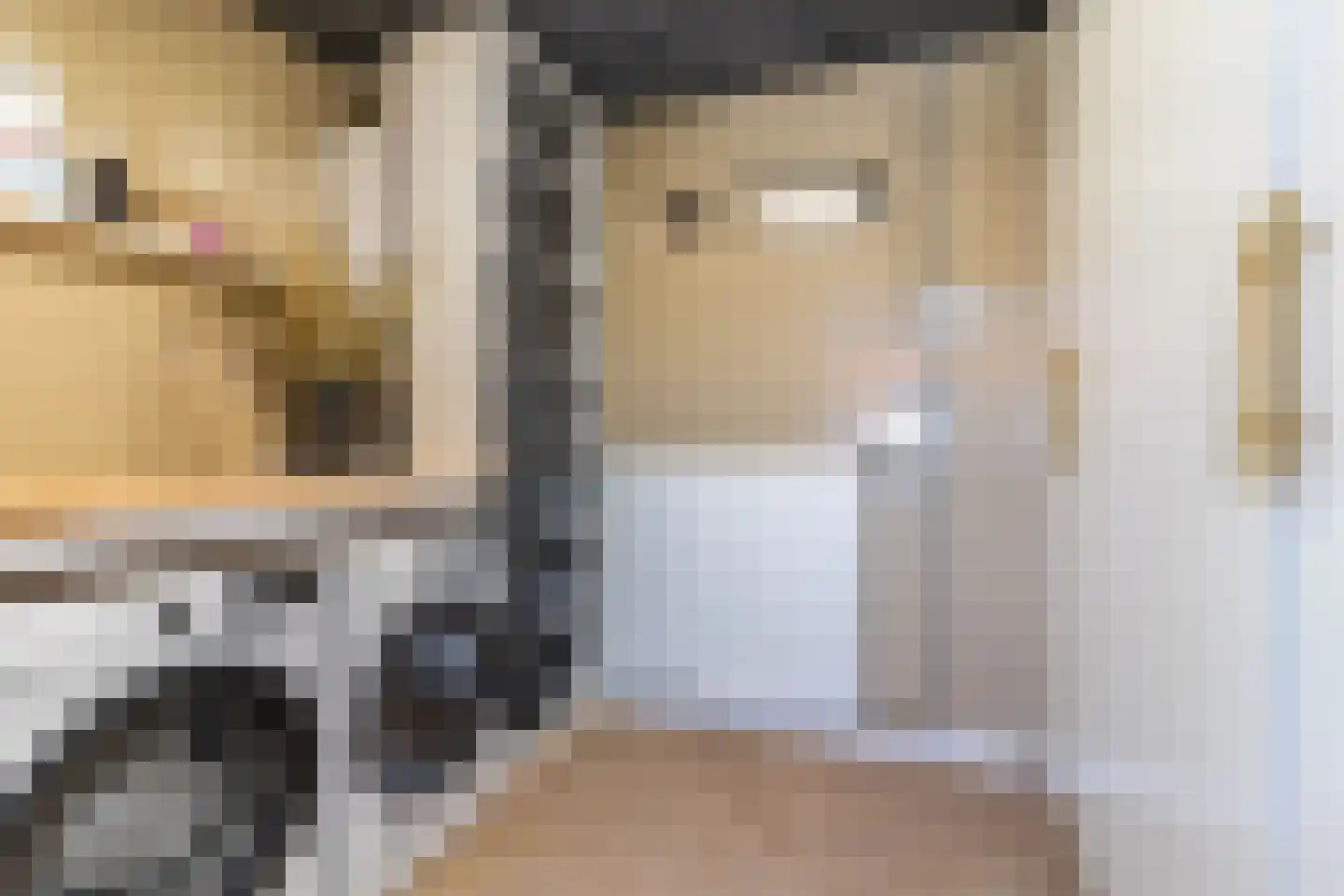 Nieuwstadsweg 14 Elburg thumbnail 26