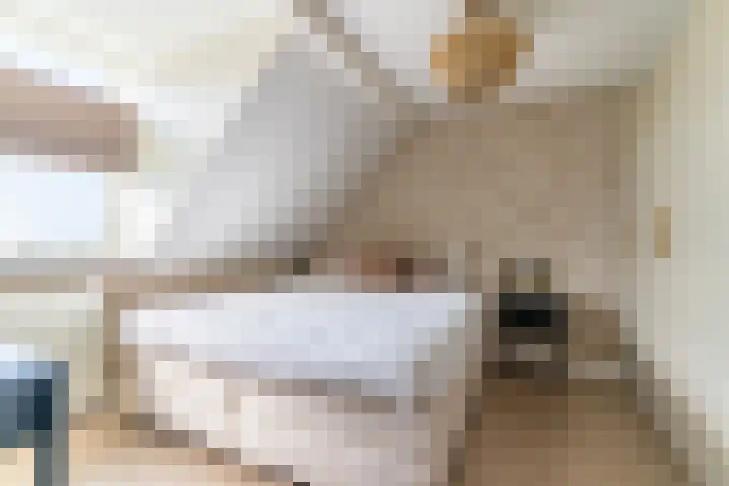Nieuwstadsweg 14 Elburg thumbnail 28