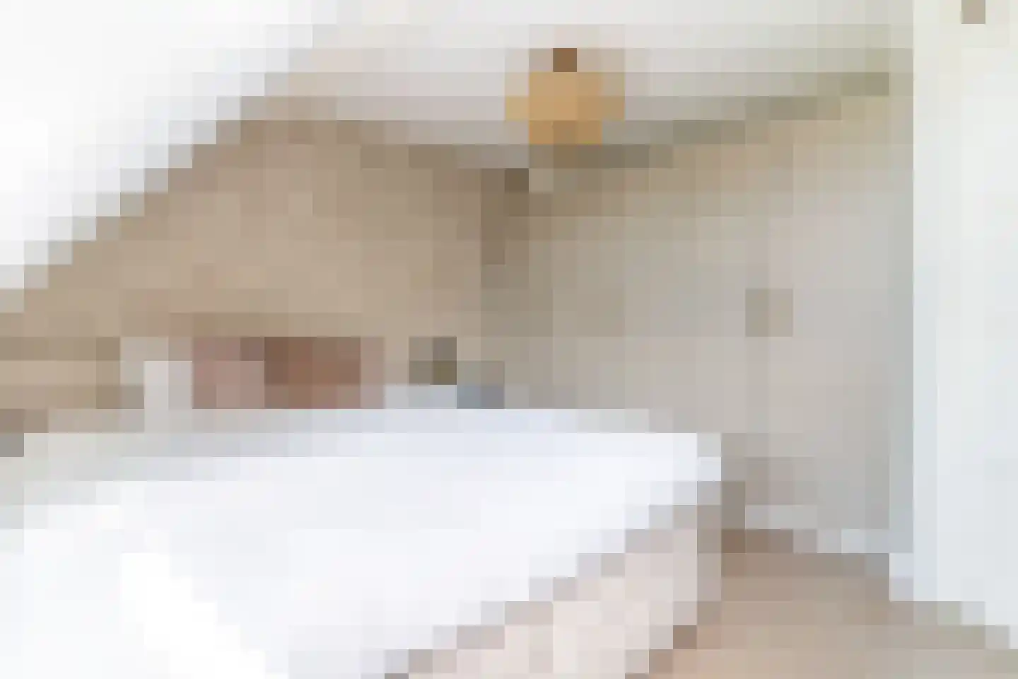 Nieuwstadsweg 14 Elburg thumbnail 30