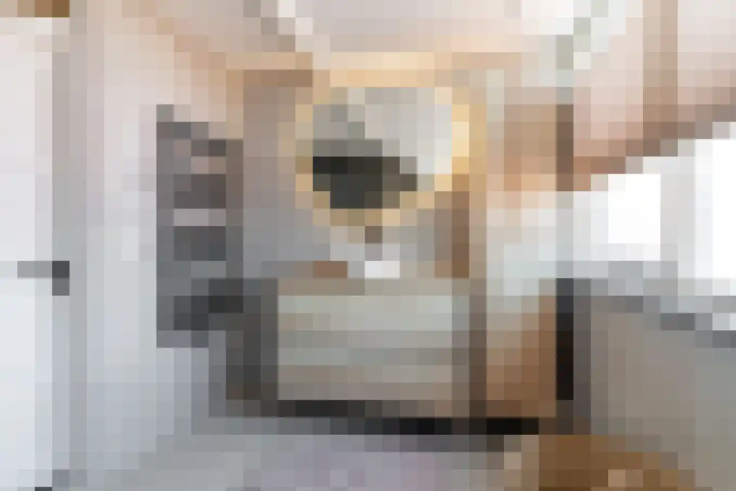 Nieuwstadsweg 14 Elburg thumbnail 31