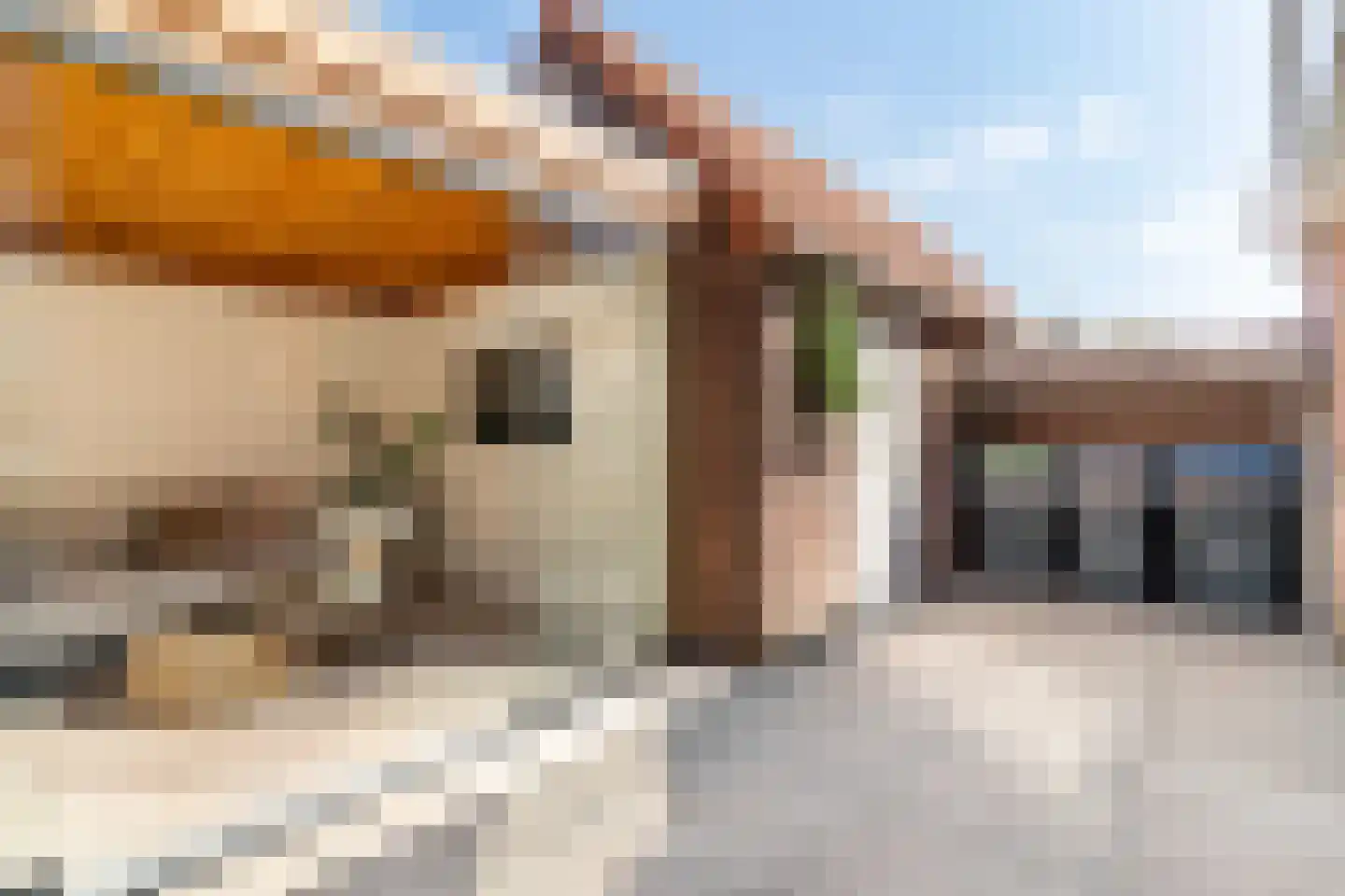 Nieuwstadsweg 14 Elburg thumbnail 39