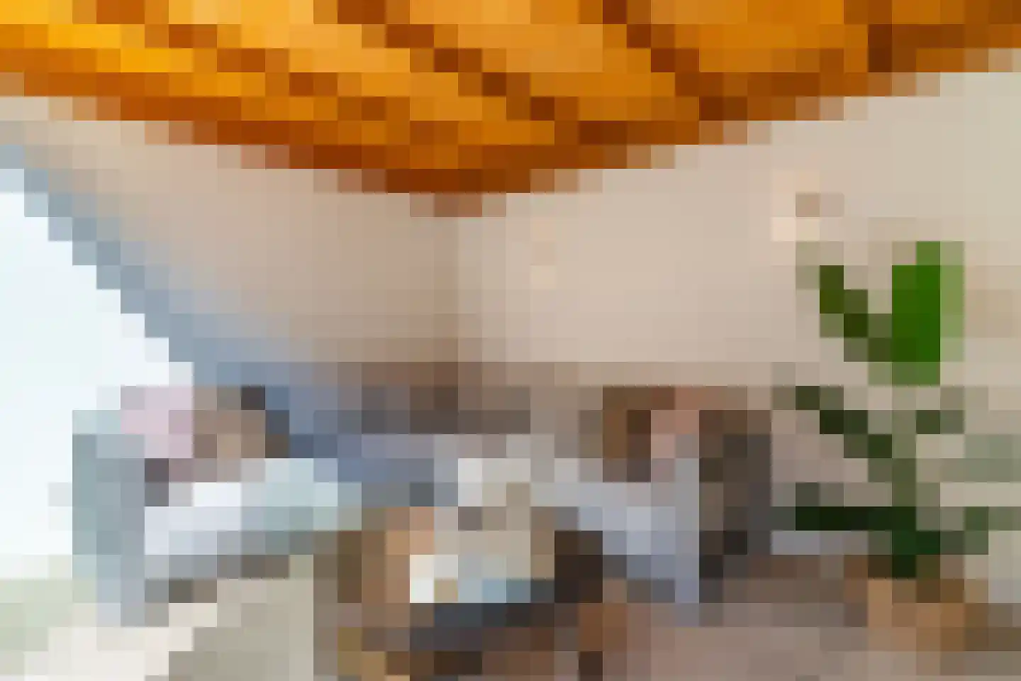 Nieuwstadsweg 14 Elburg thumbnail 41
