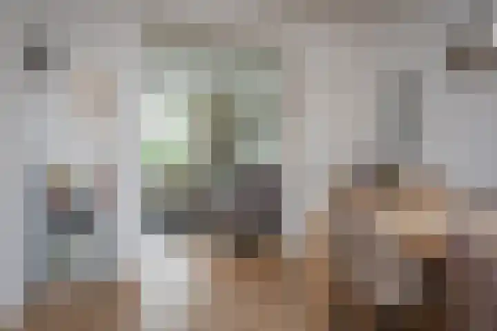 Nieuwstadsweg 6 Elburg thumbnail 12