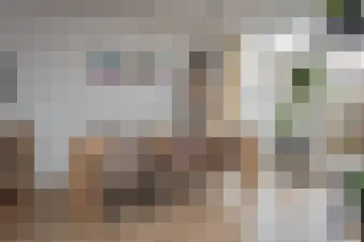 Nieuwstadsweg 6 Elburg thumbnail 14
