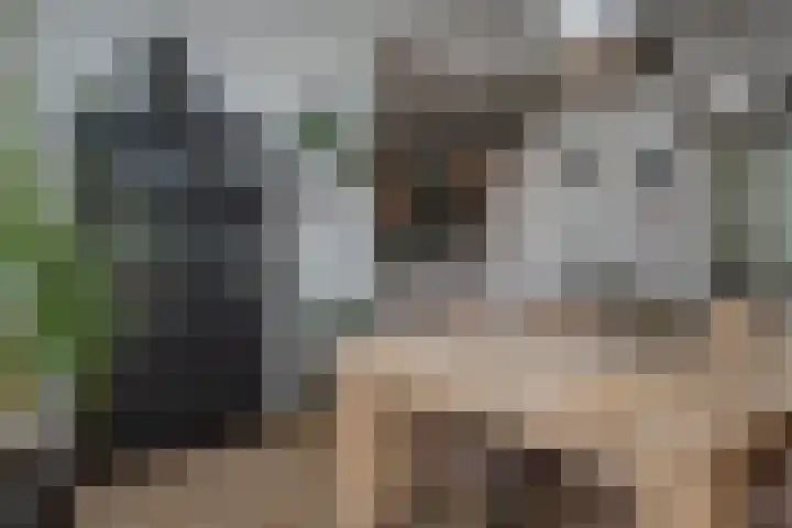 Nieuwstadsweg 6 Elburg thumbnail 15