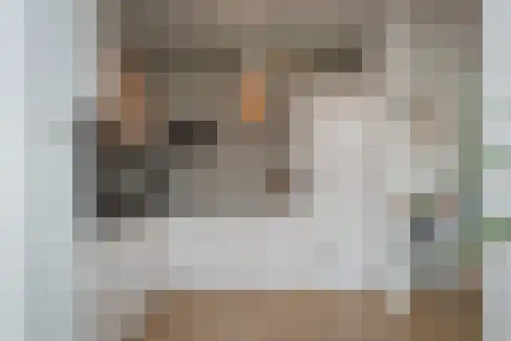 Nieuwstadsweg 6 Elburg thumbnail 17