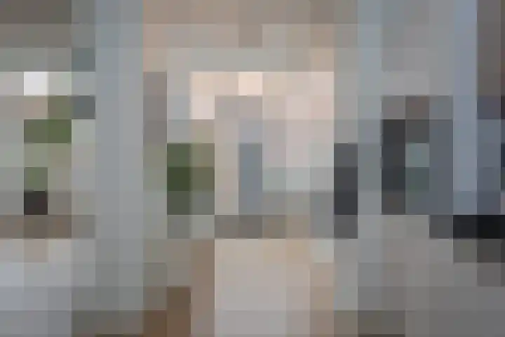 Nieuwstadsweg 6 Elburg thumbnail 18