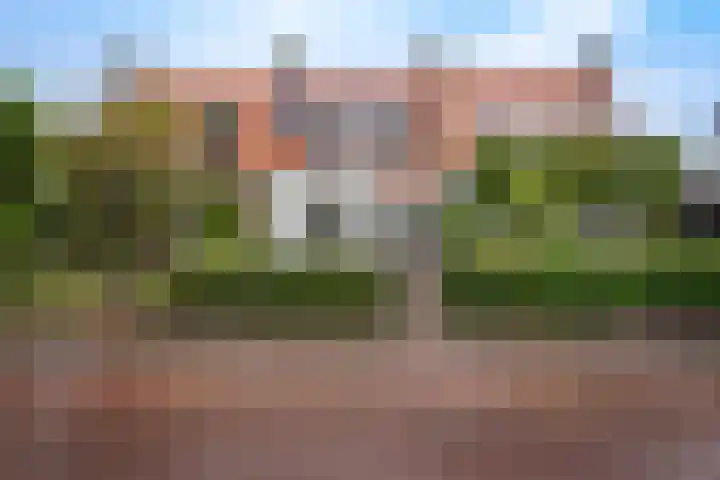 Nieuwstadsweg 6 Elburg foto 2
