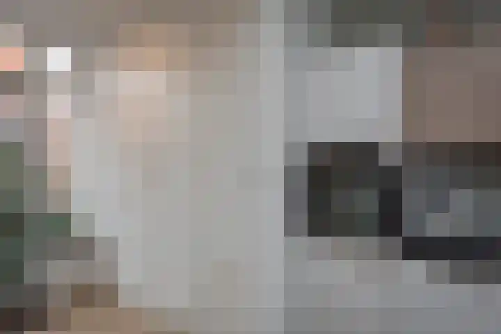 Nieuwstadsweg 6 Elburg thumbnail 20