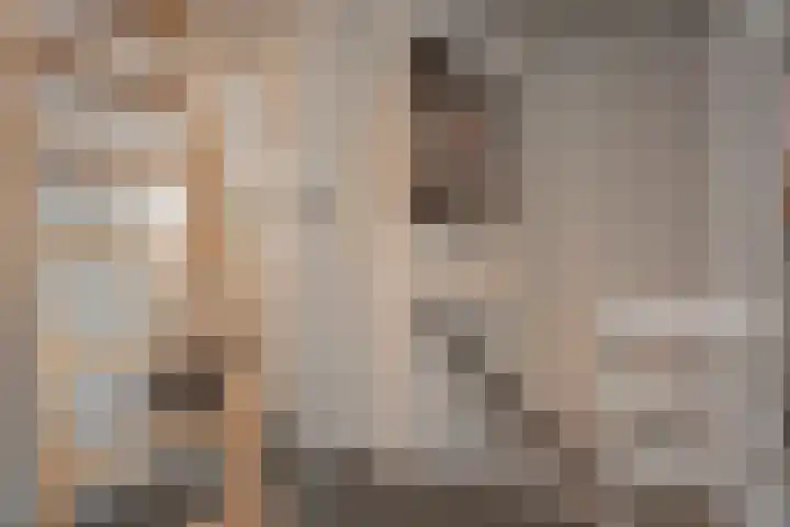 Nieuwstadsweg 6 Elburg thumbnail 21