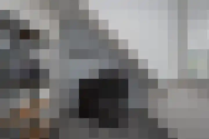 Nieuwstadsweg 6 Elburg thumbnail 26