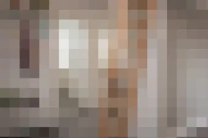 Nieuwstadsweg 6 Elburg thumbnail 33