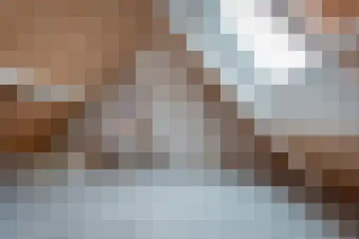 Nieuwstadsweg 6 Elburg thumbnail 34