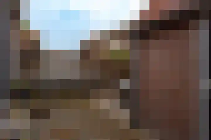 Nieuwstadsweg 6 Elburg thumbnail 38