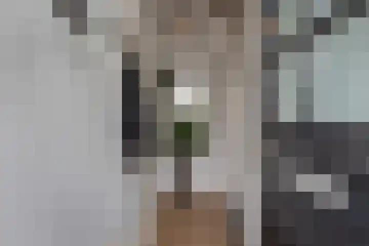 Nieuwstadsweg 6 Elburg thumbnail 4