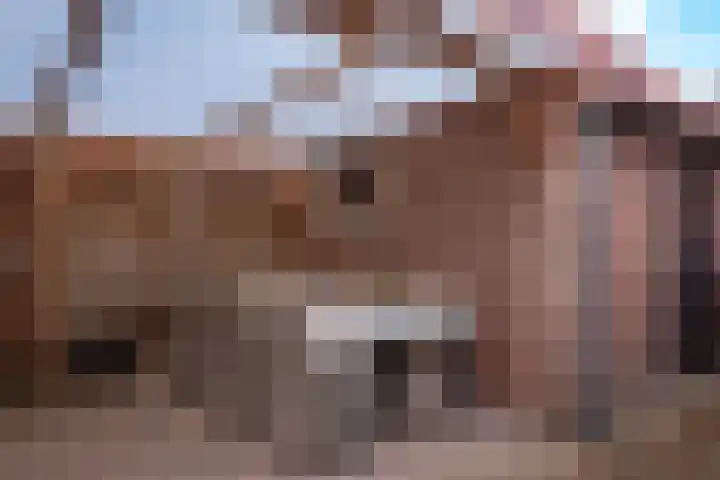 Nieuwstadsweg 6 Elburg thumbnail 41